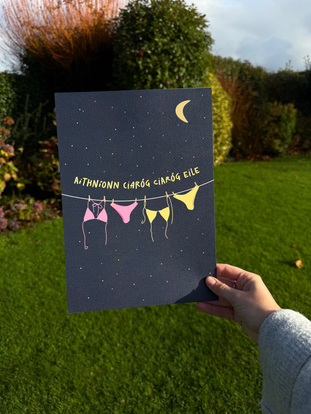 Aithníonn Ciaróg Ciaróg Eile | Friendship Print