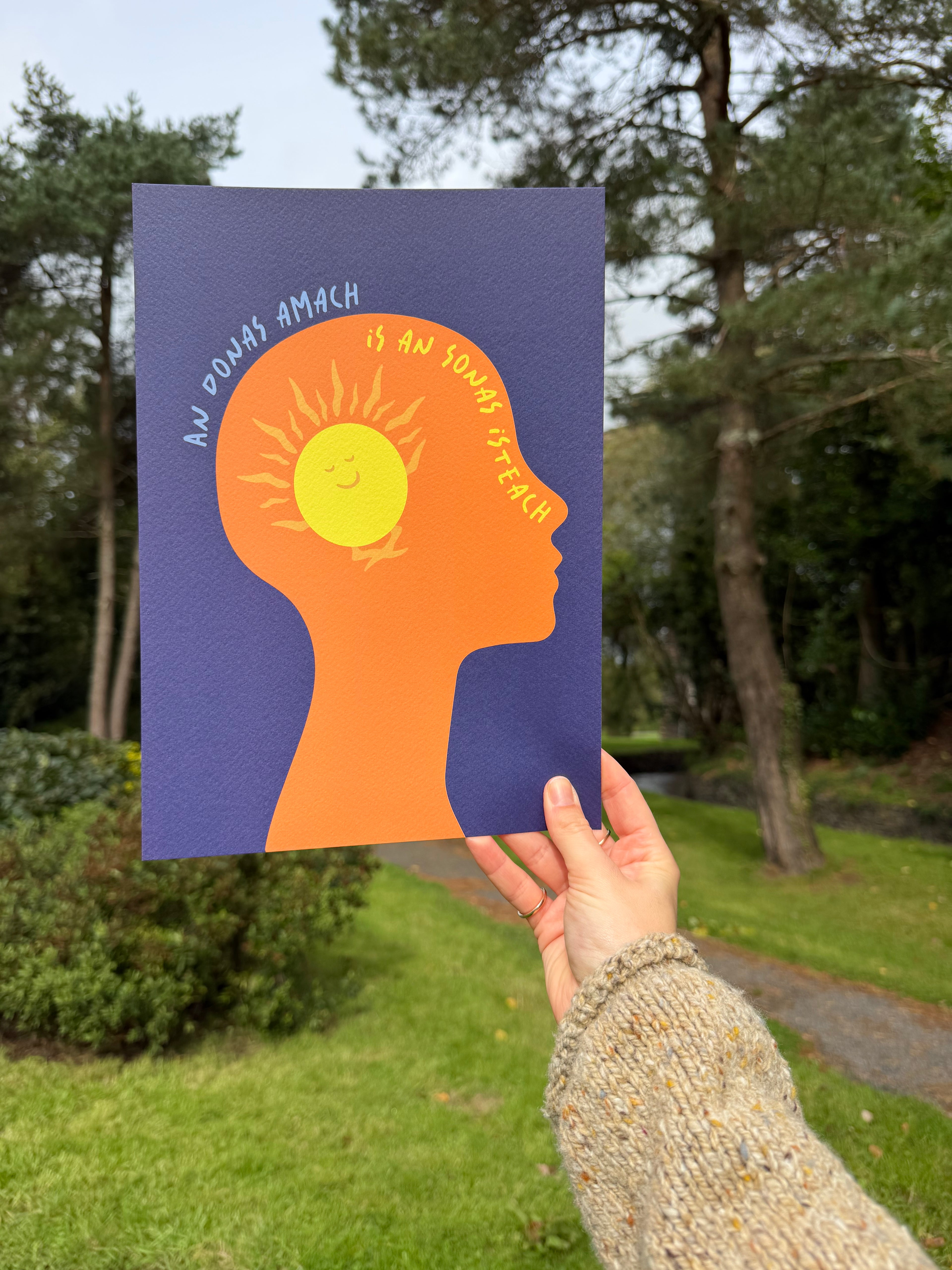 An Donas Amach Is An Sonas Isteach | Irish Seanfhocail Print | Gaeilge Gift
