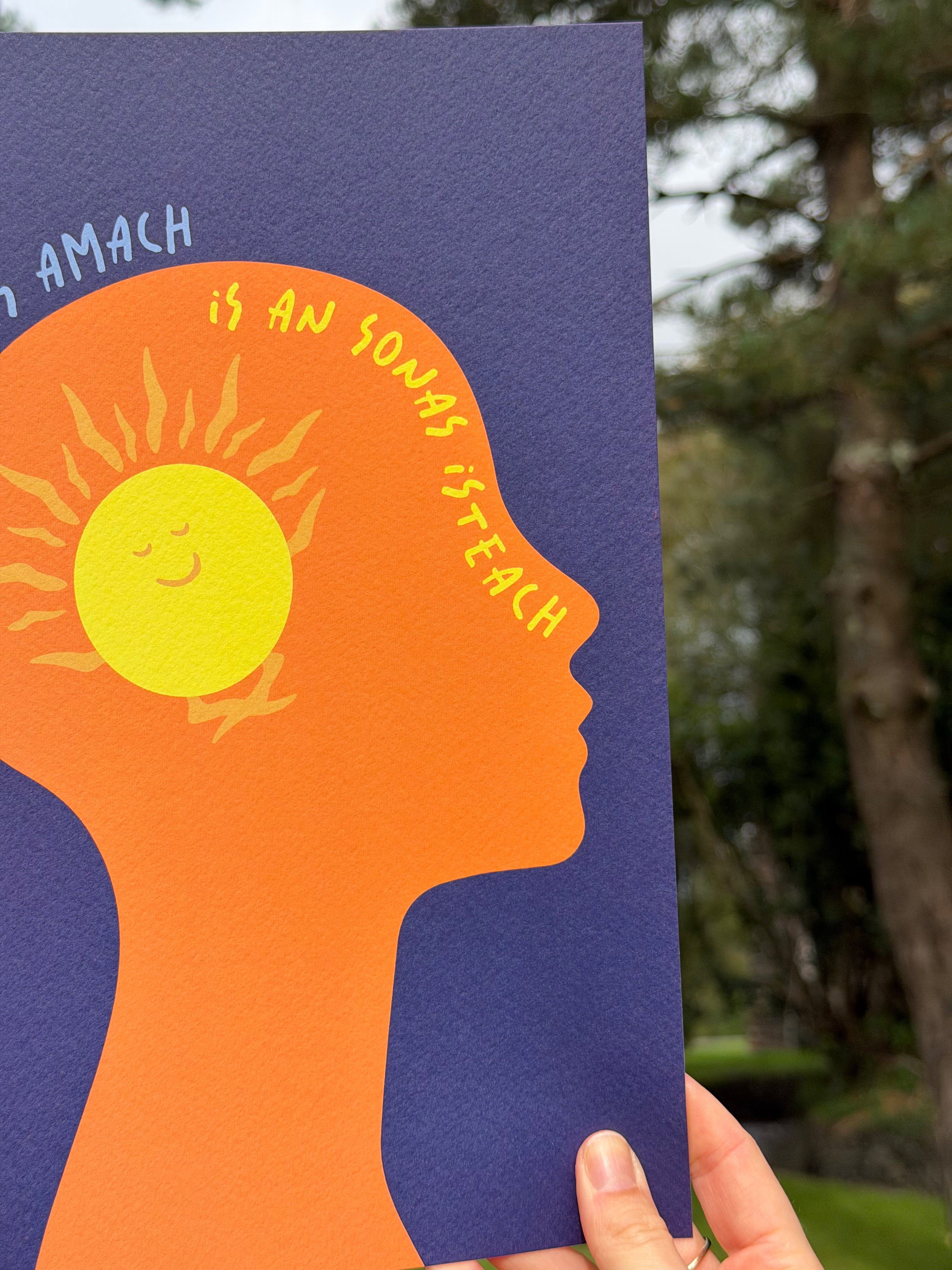 An Donas Amach Is An Sonas Isteach | Irish Seanfhocail Print | Gaeilge Gift