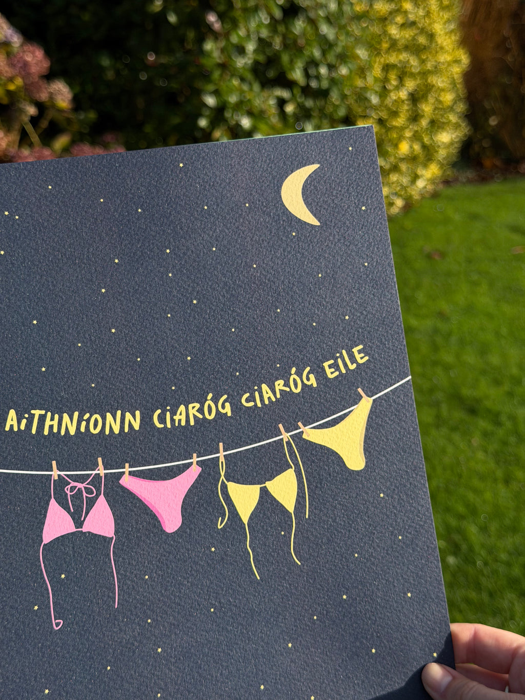 Aithníonn Ciaróg Ciaróg Eile | Friendship Print